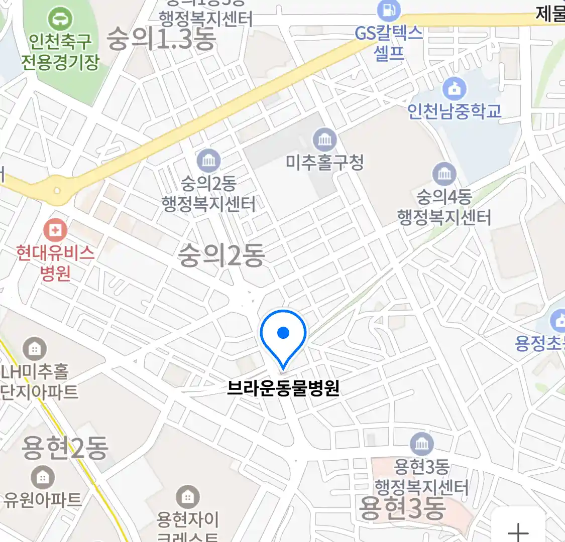 브라운동물병원 위치