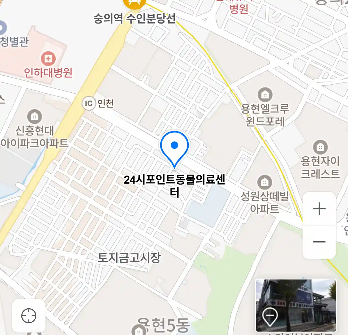 24시포인트동물의료센터 위치