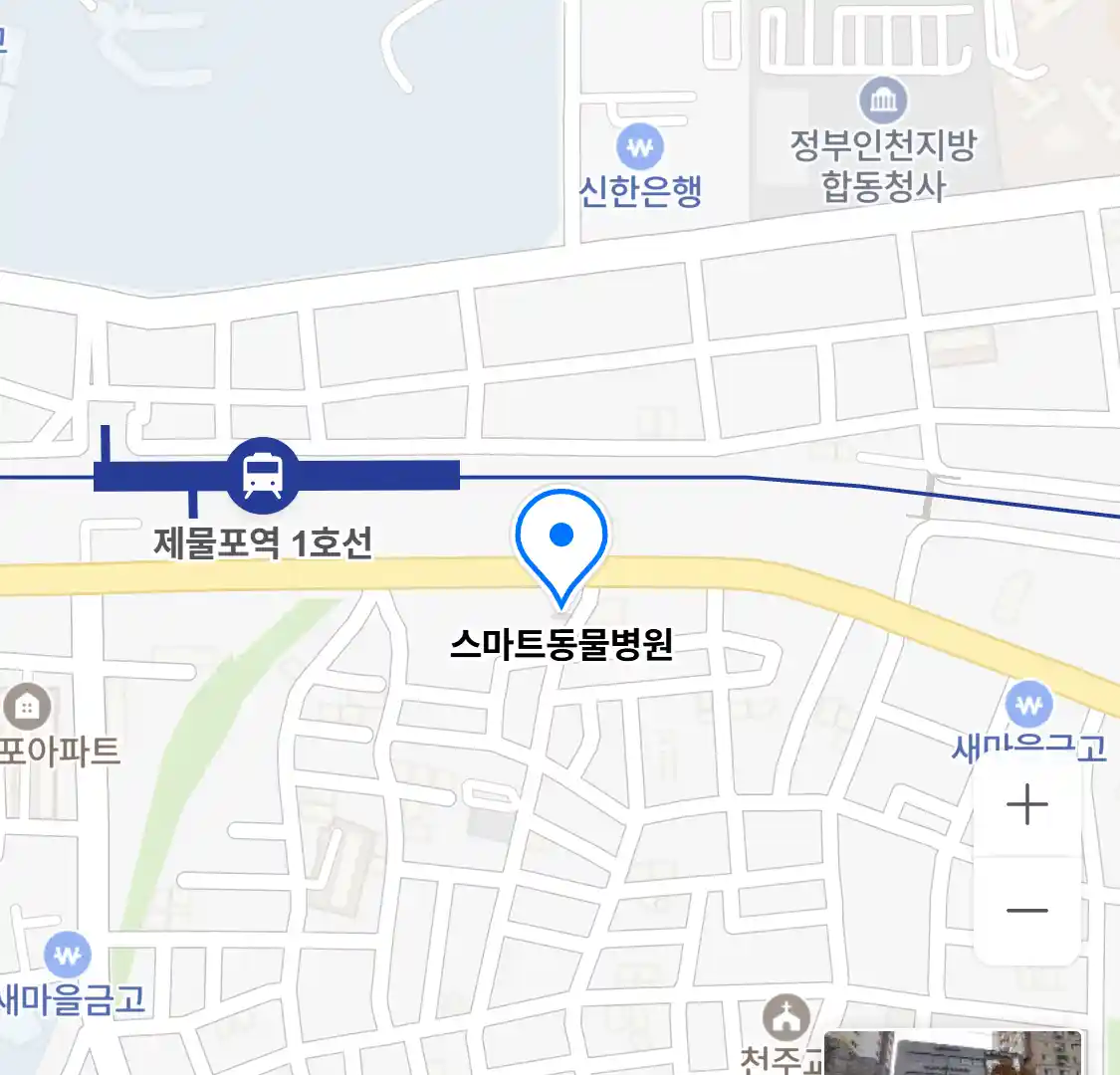 스마트동물병원 위치
