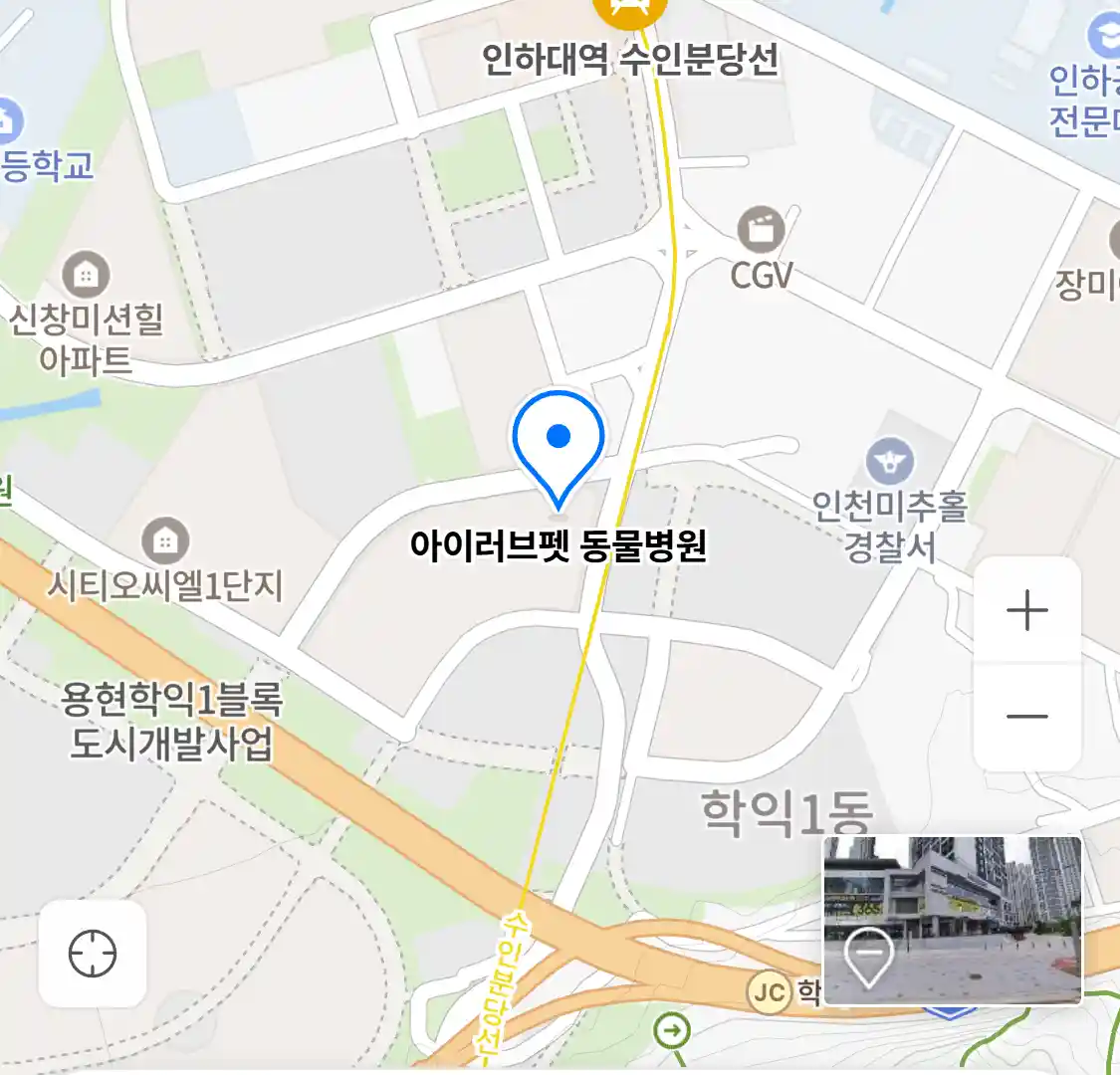 아이러브펫 동물병원 위치