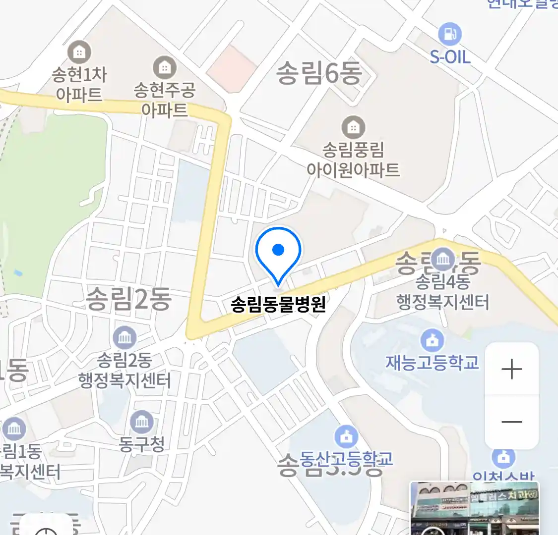송림동물병원 위치