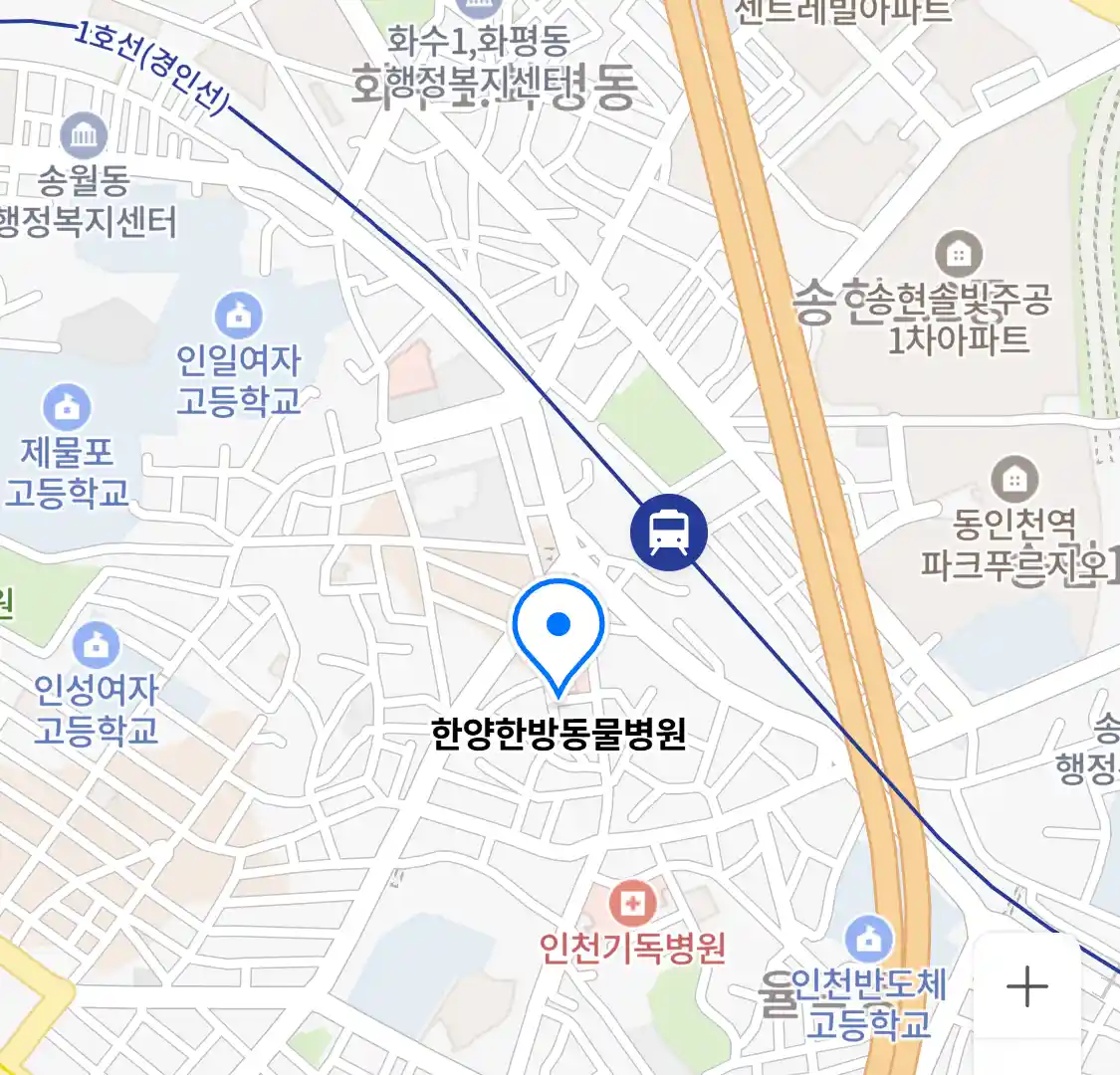 한양한방동물병원 위치