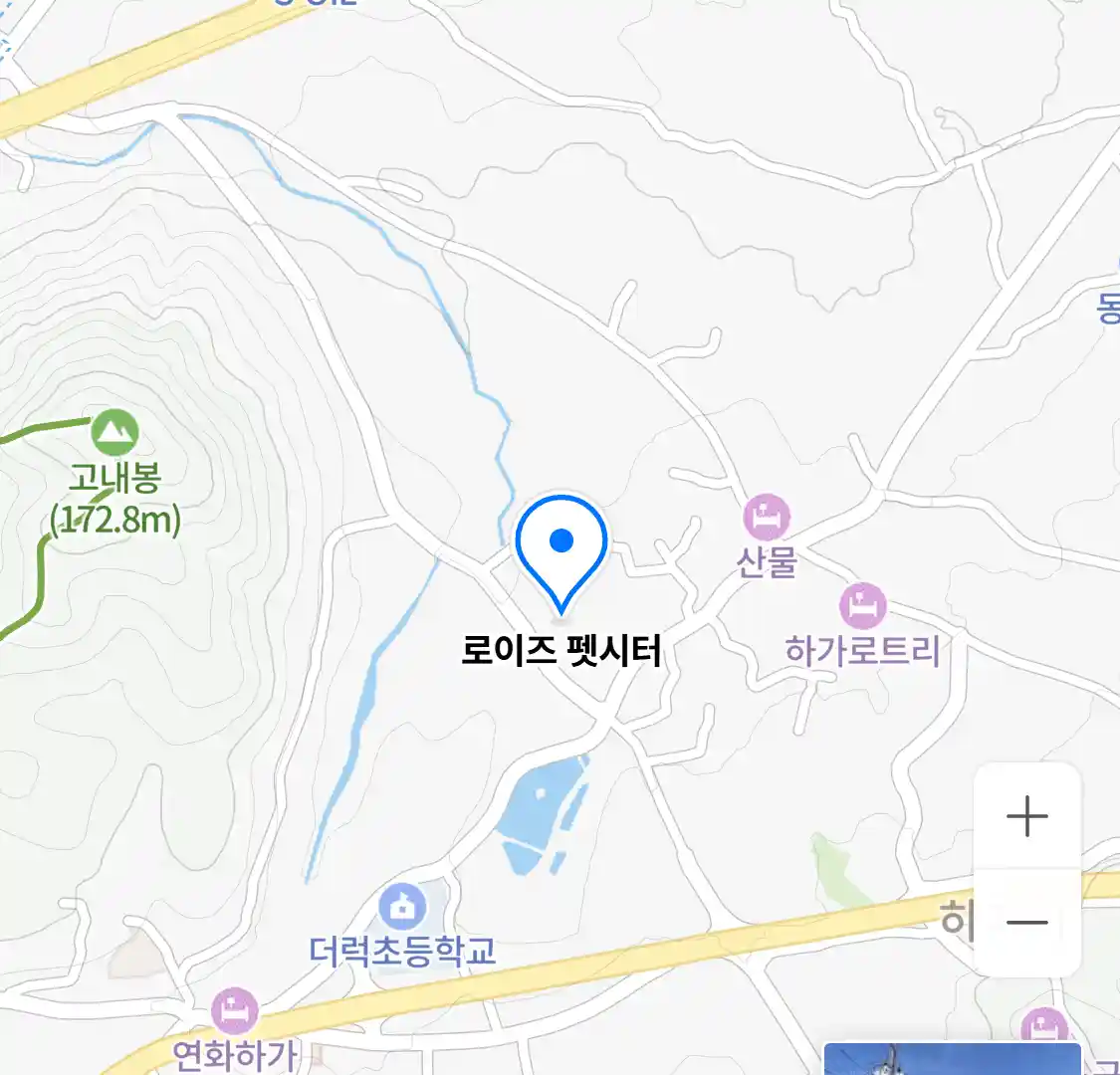 로이즈 펫시터 위치