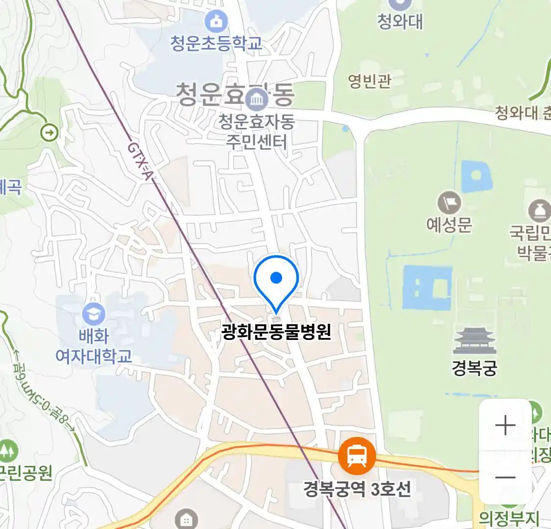 광화문동물병원 위치
