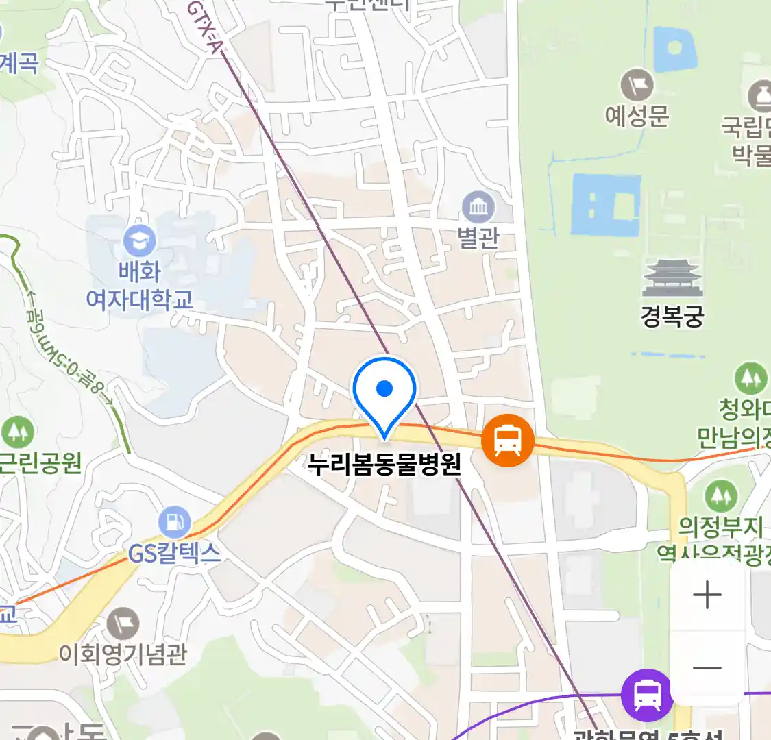 누리봄동물병원 위치