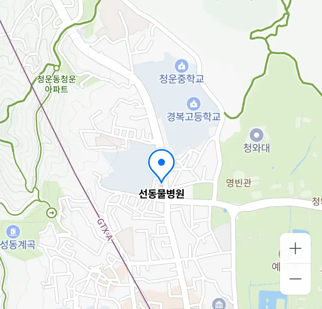 선동물병원 위치