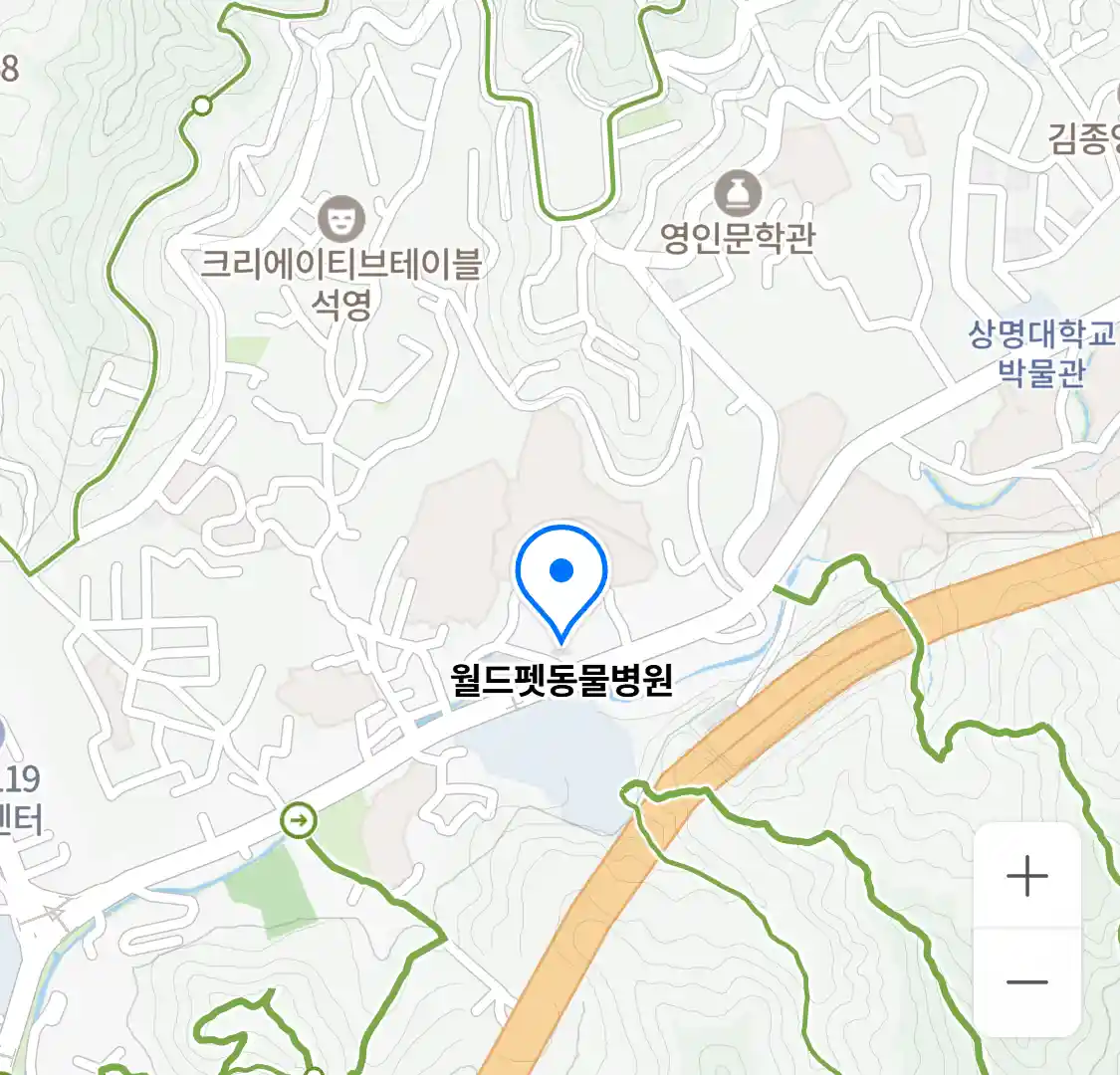 월드펫동물병원 위치