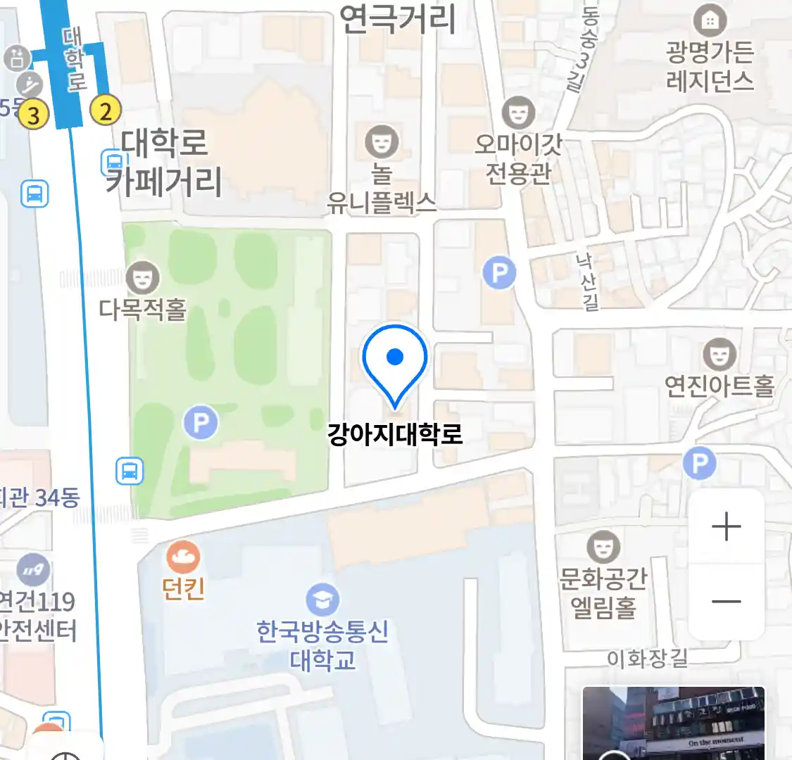 강아지대학로 위치