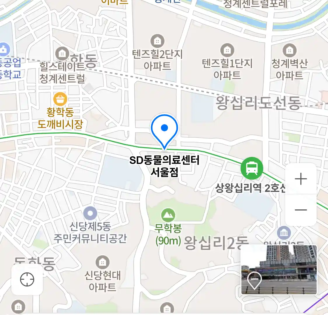 SD동물의료센터 서울점 위치