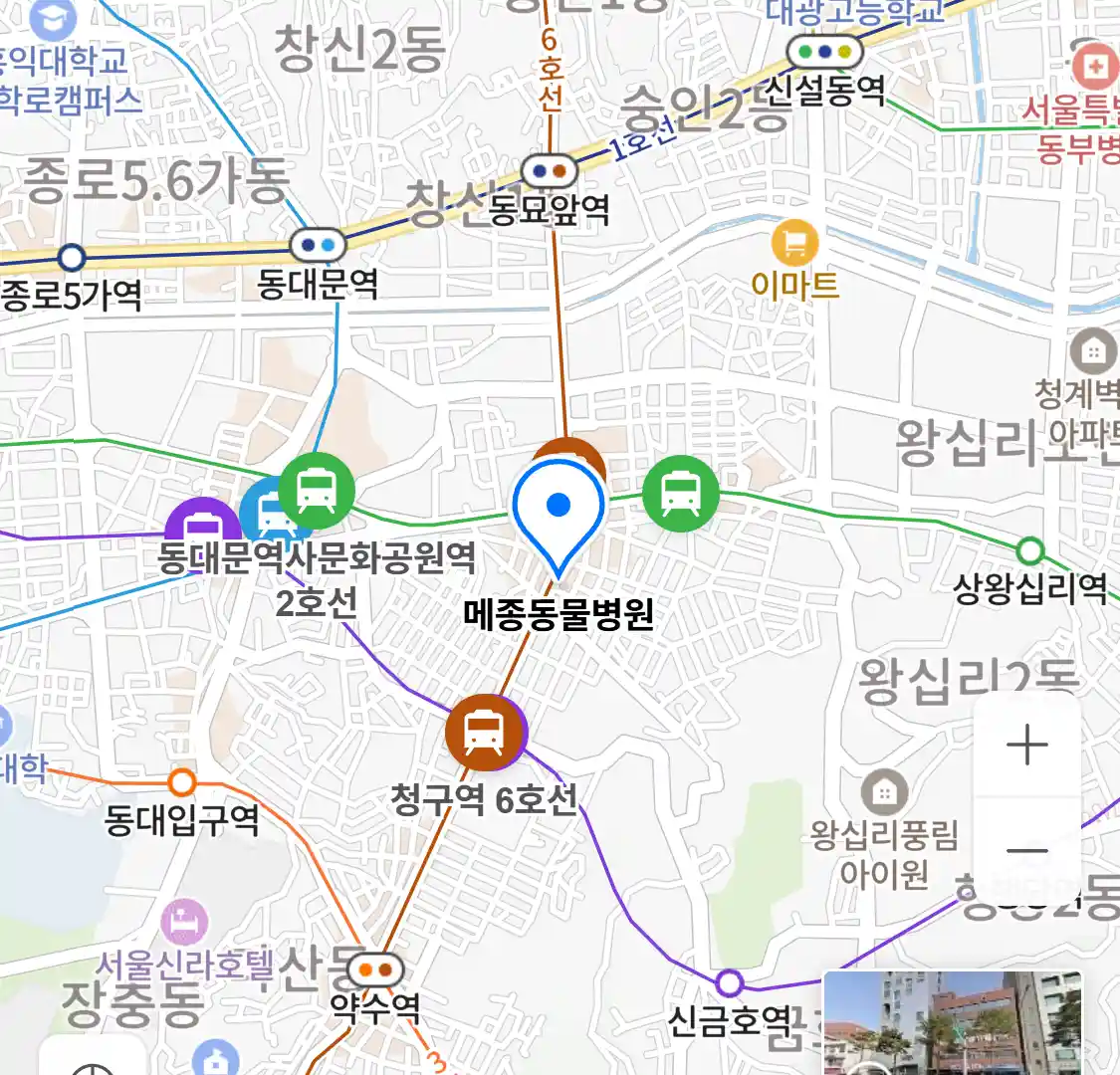 메종동물병원 위치