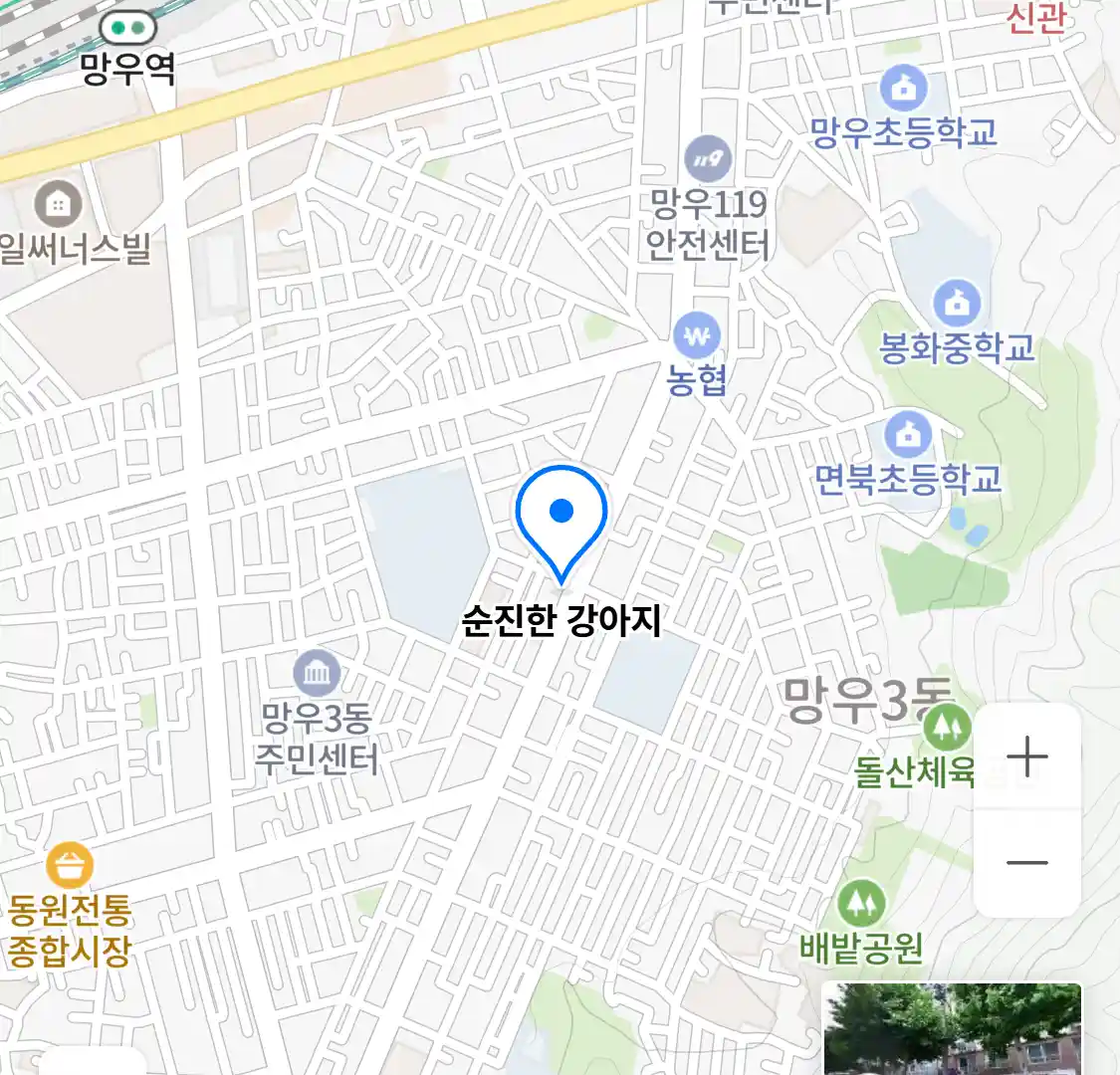 순진한 강아지 위치