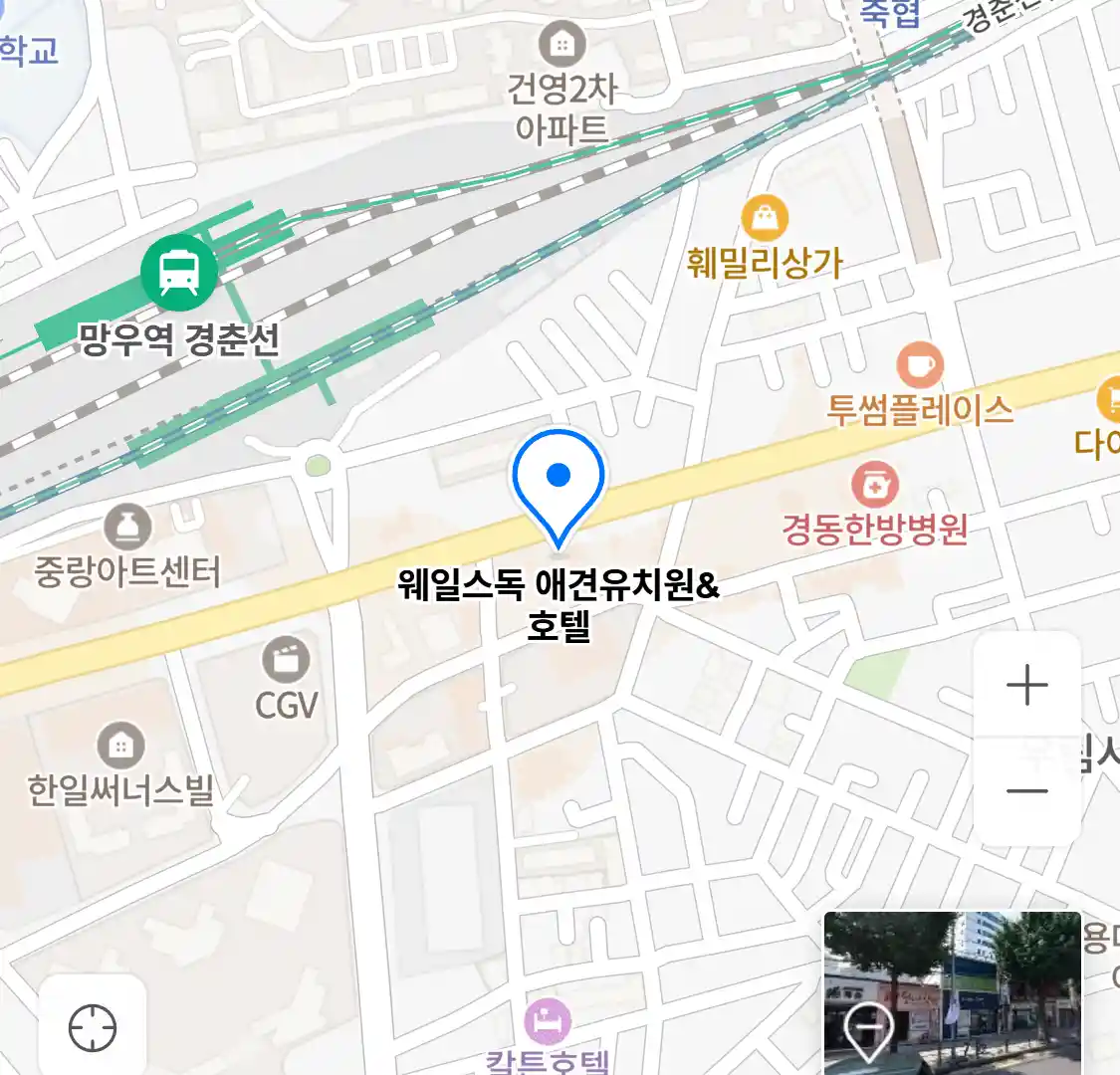 웨일스독 애견유치원&호텔 위치