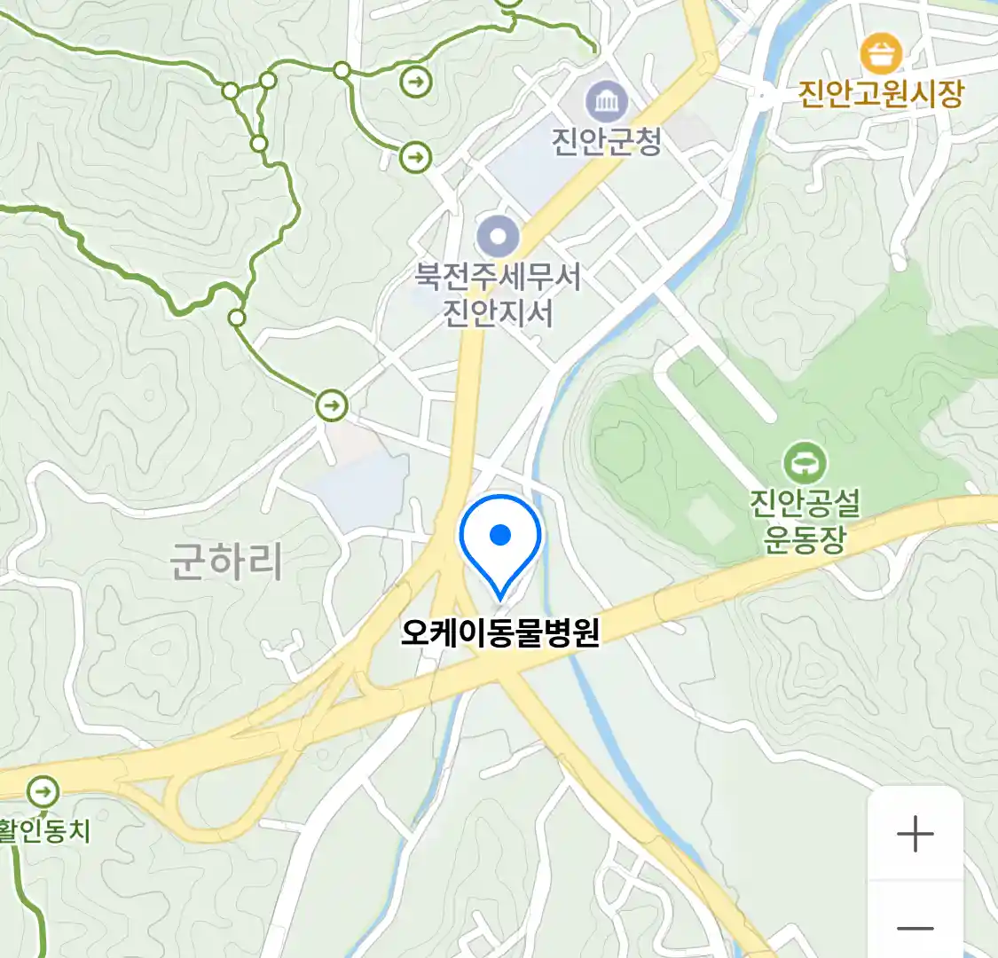 오케이동물병원 위치