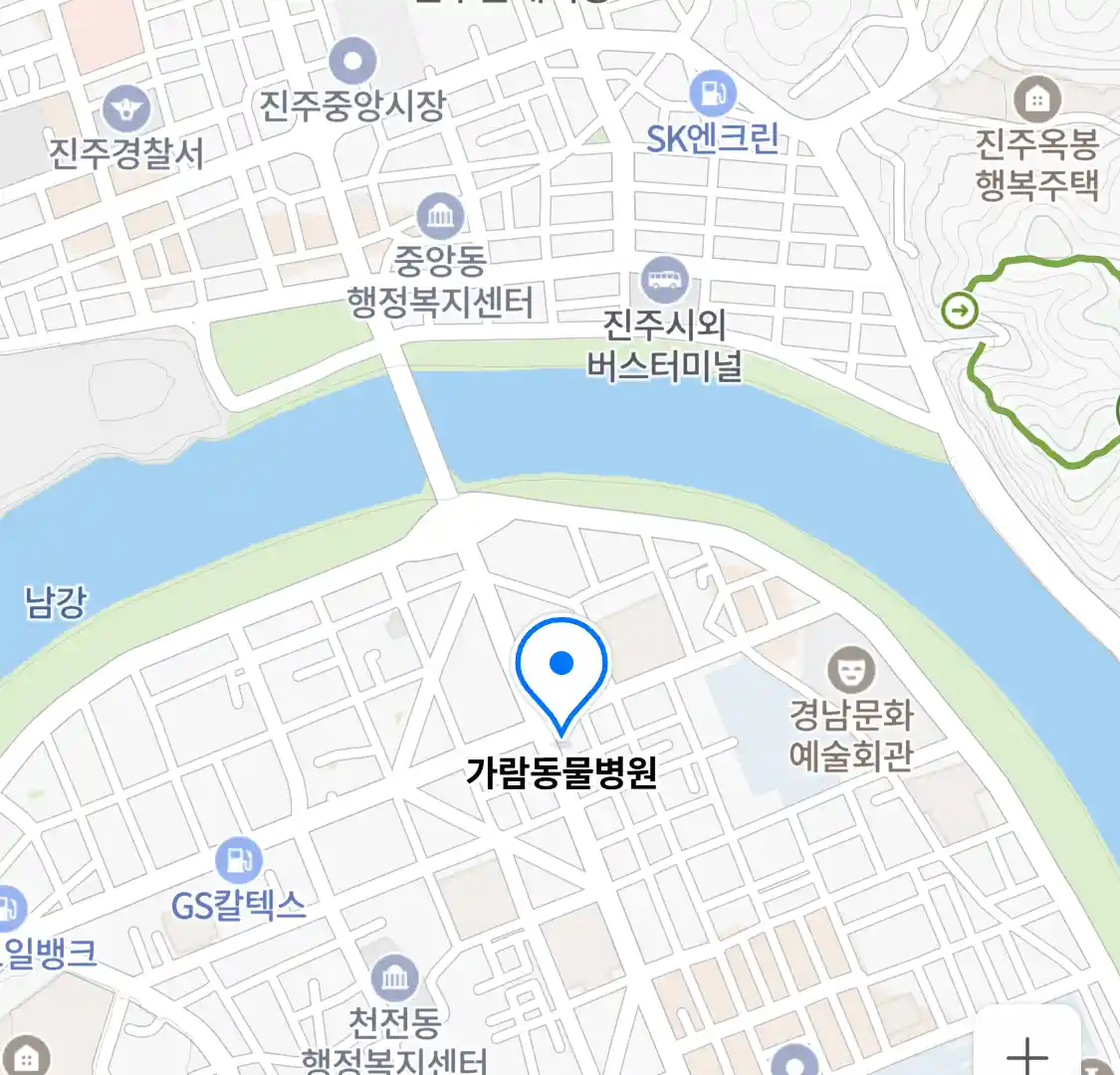 가람동물병원 위치