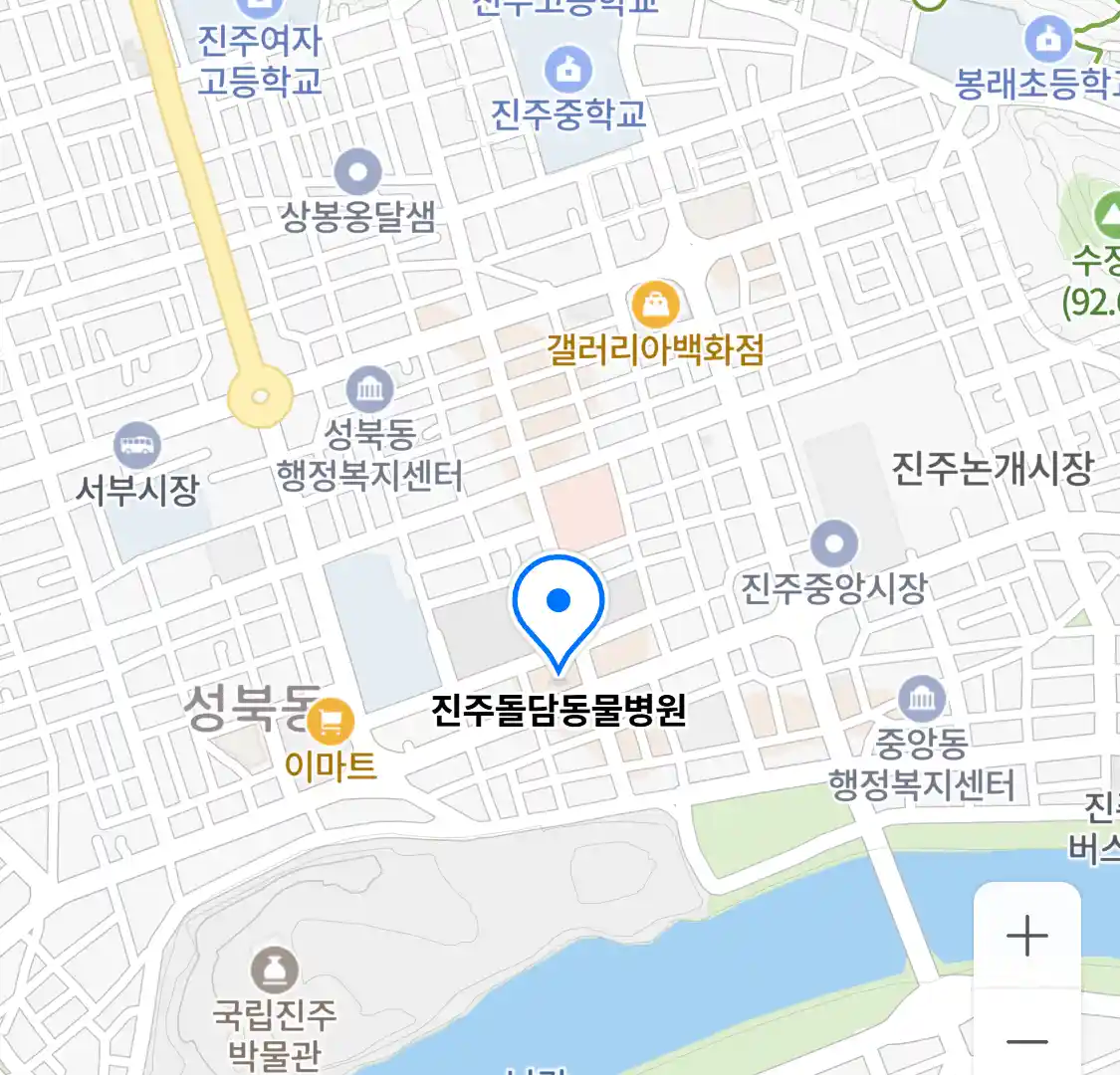 진주돌담동물병원 위치