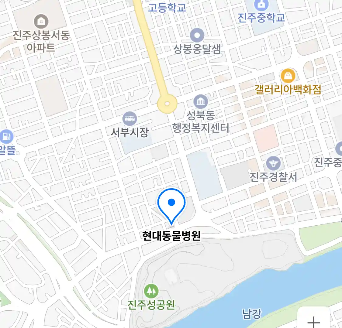 현대동물병원 위치