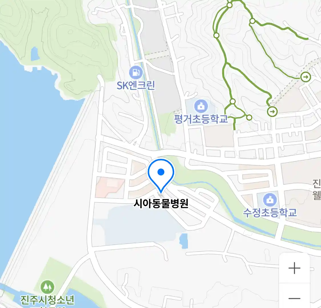 시아동물병원 위치