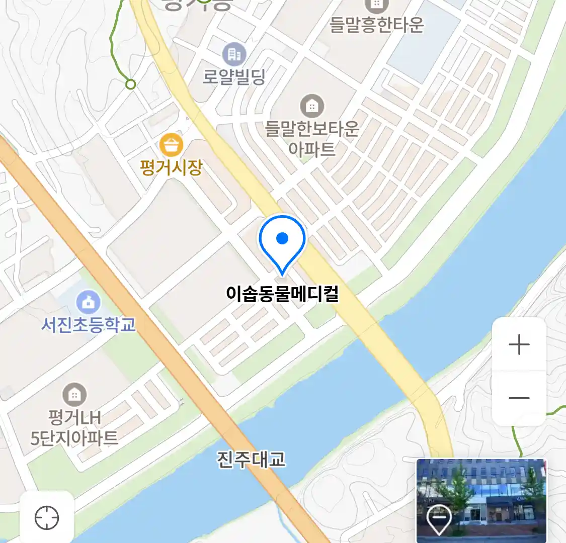 이솝동물메디컬 위치