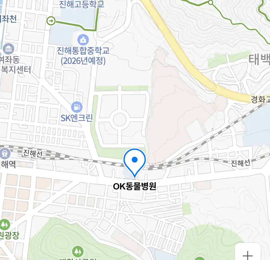 OK동물병원 위치