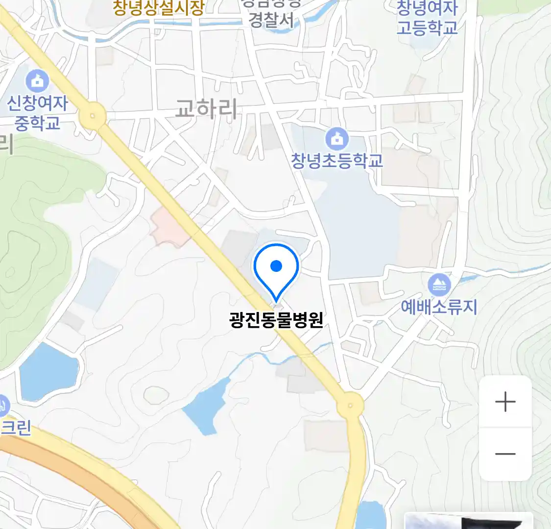 광진동물병원 위치