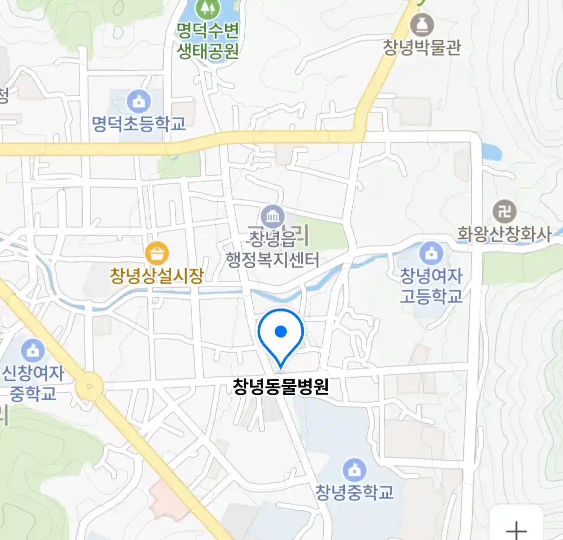 창녕동물병원 위치