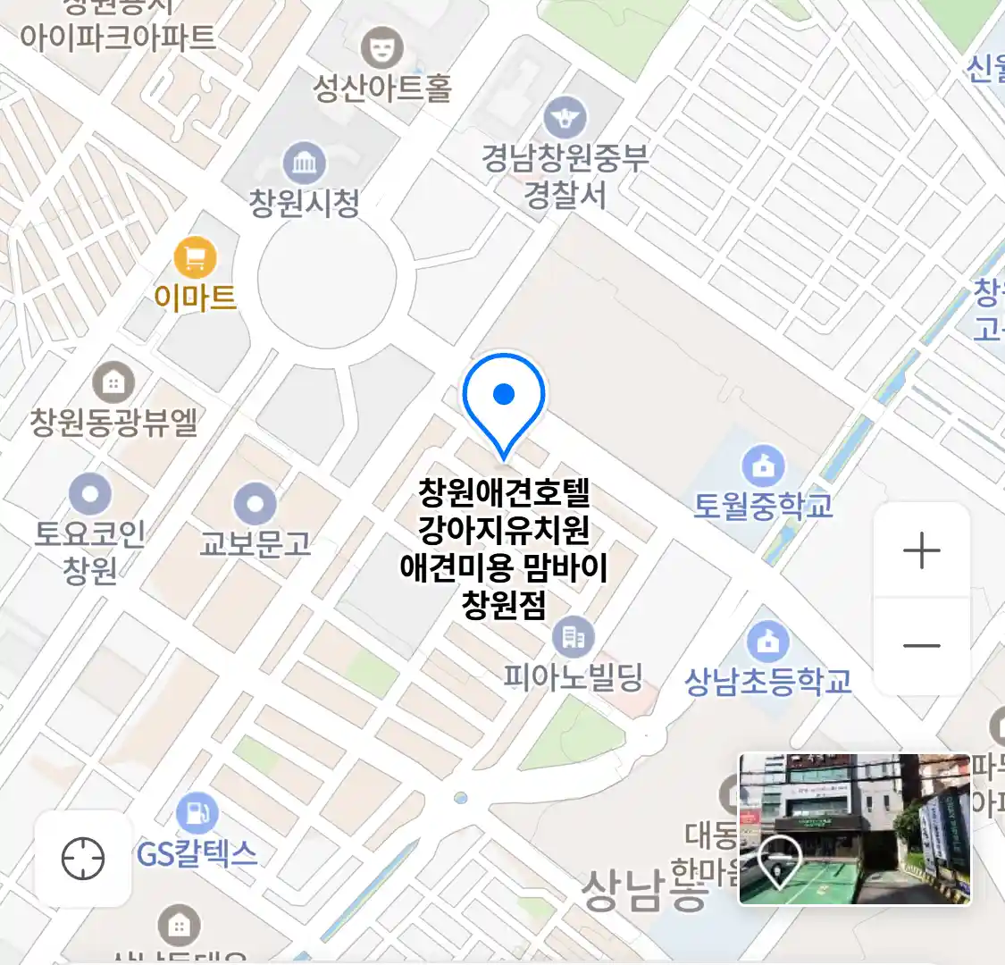 창원애견호텔 강아지유치원 애견미용 맘바이 창원점 위치