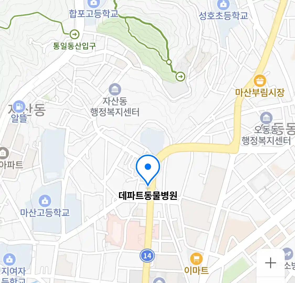 데파트동물병원 위치