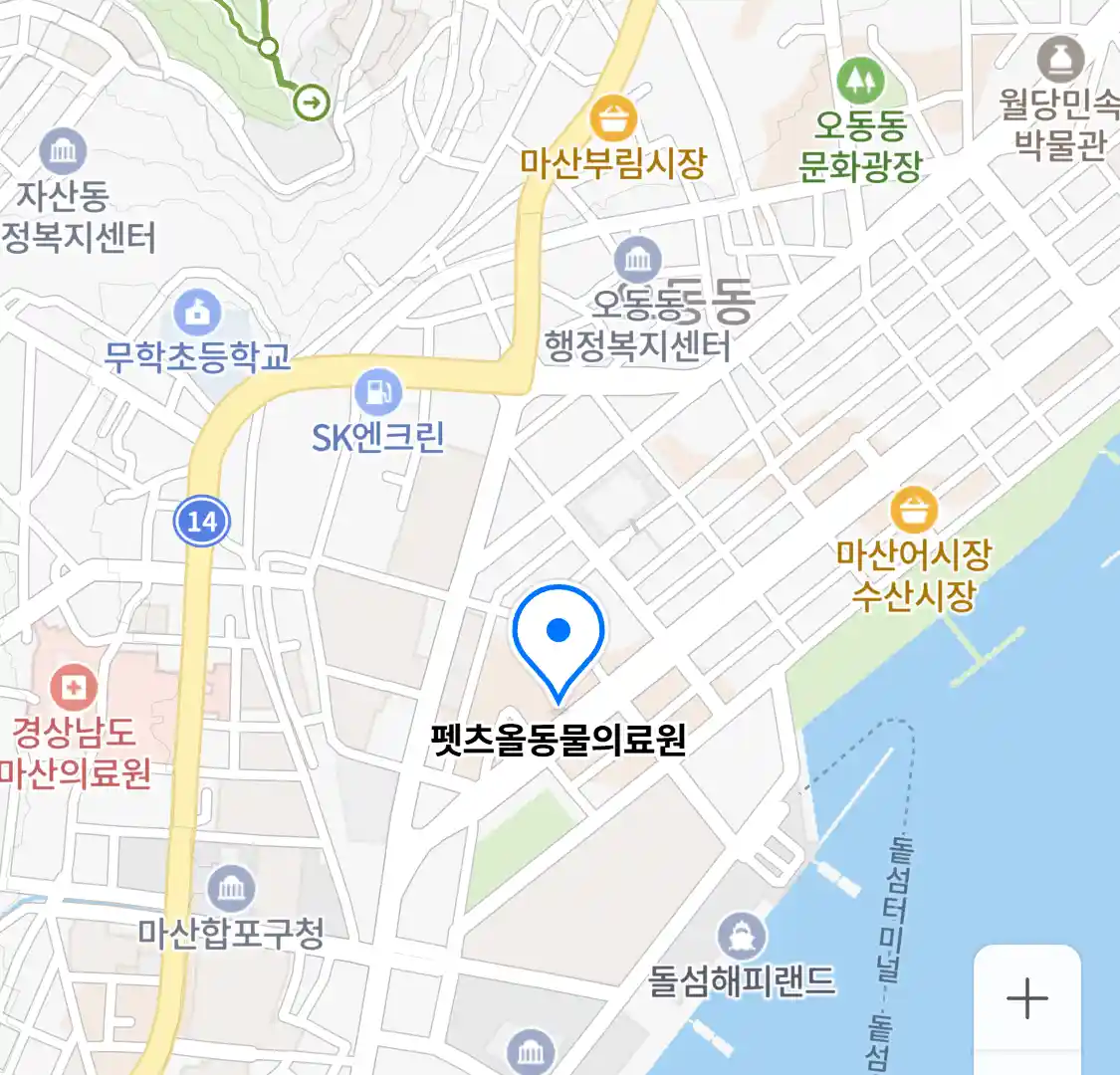 펫츠올동물의료원 위치