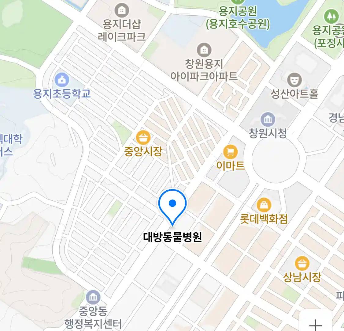 대방동물병원 위치