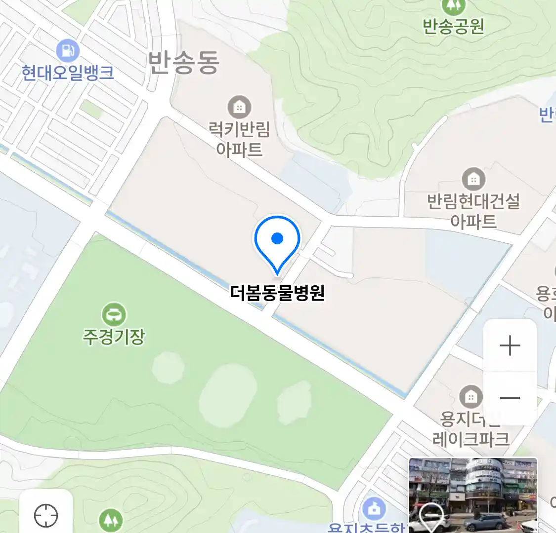 더봄동물병원 위치