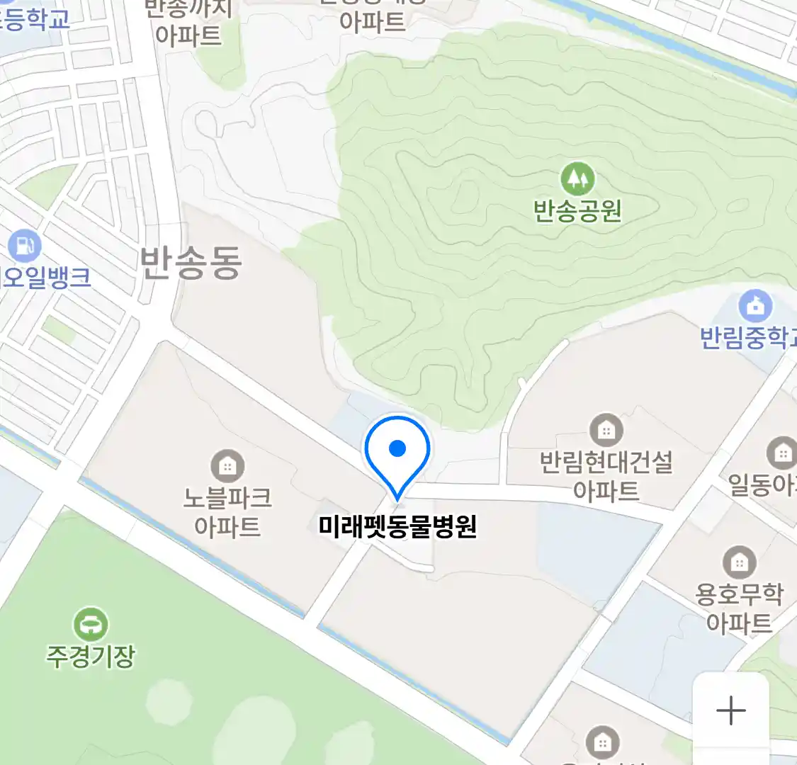 미래펫동물병원 위치
