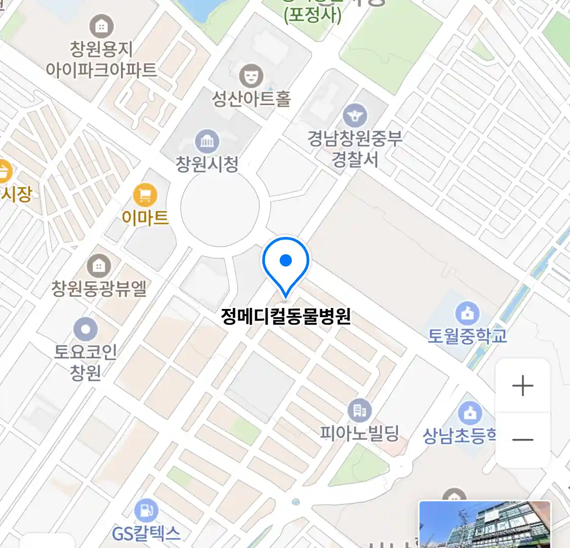 정메디컬동물병원 위치