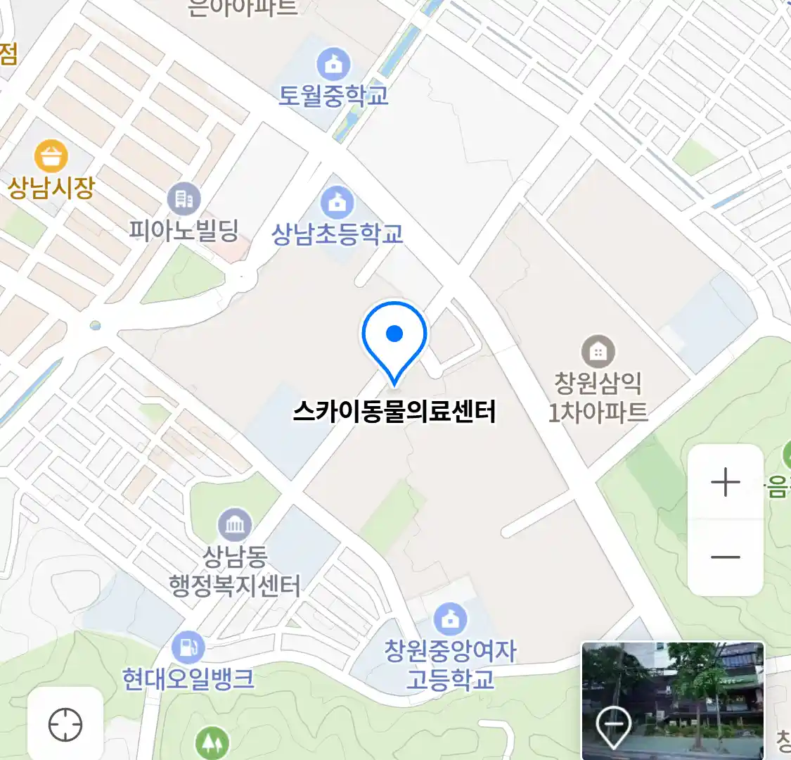스카이동물의료센터 위치