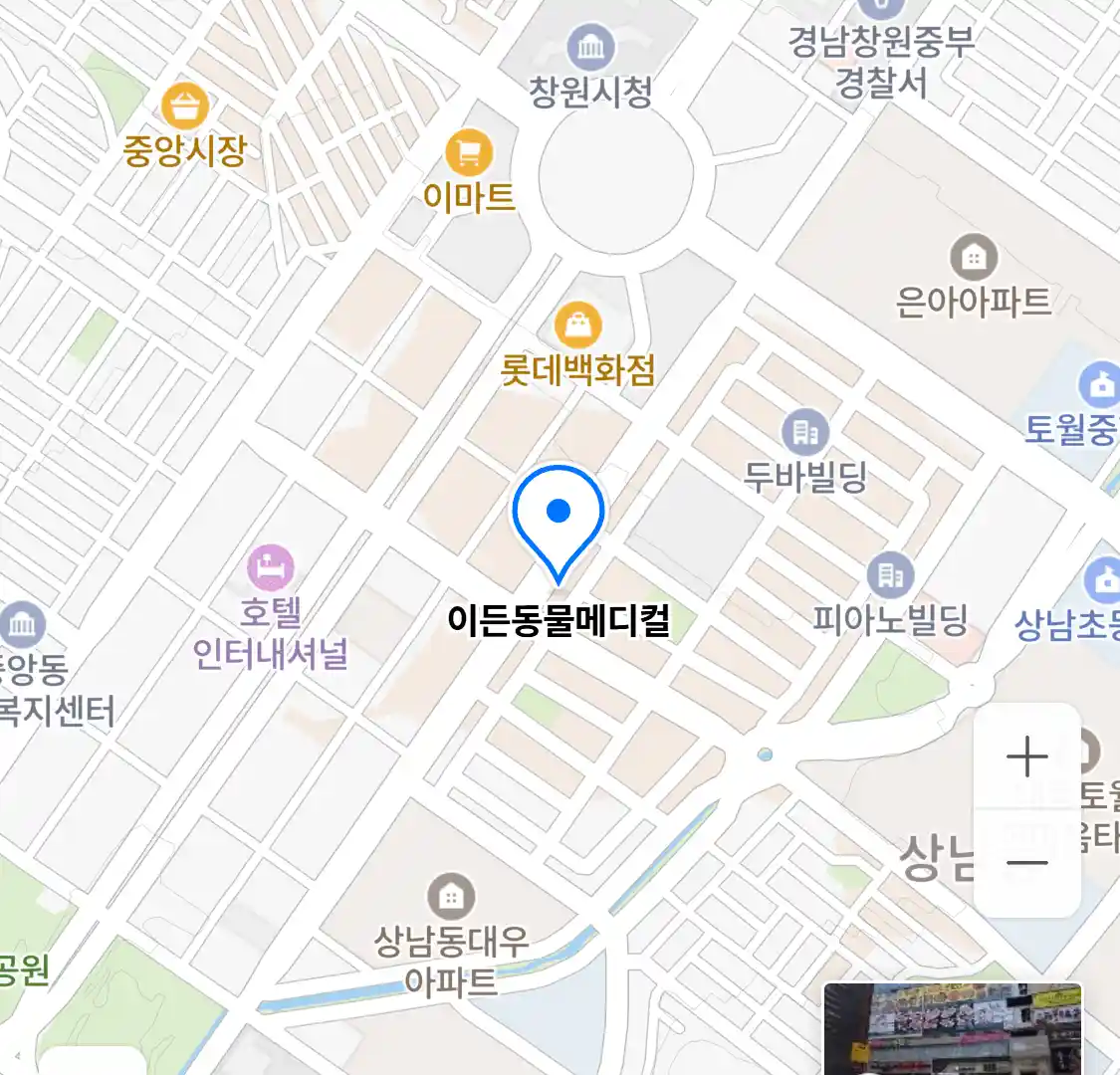 이든동물메디컬 위치
