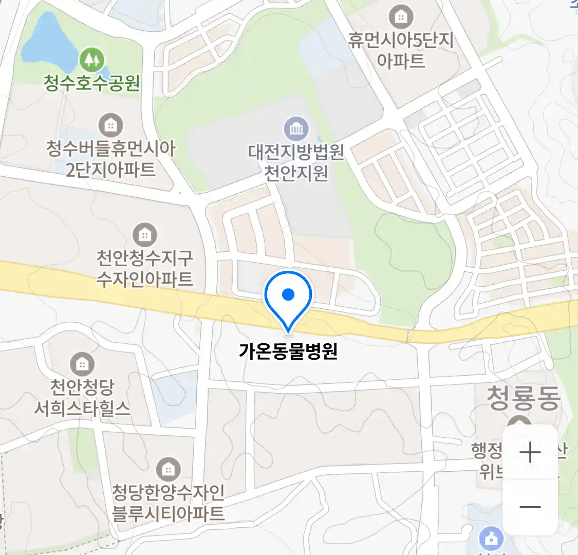 가온동물병원 위치