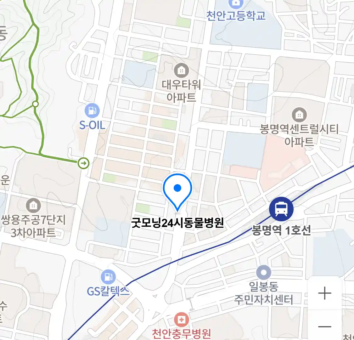굿모닝24시동물병원 위치