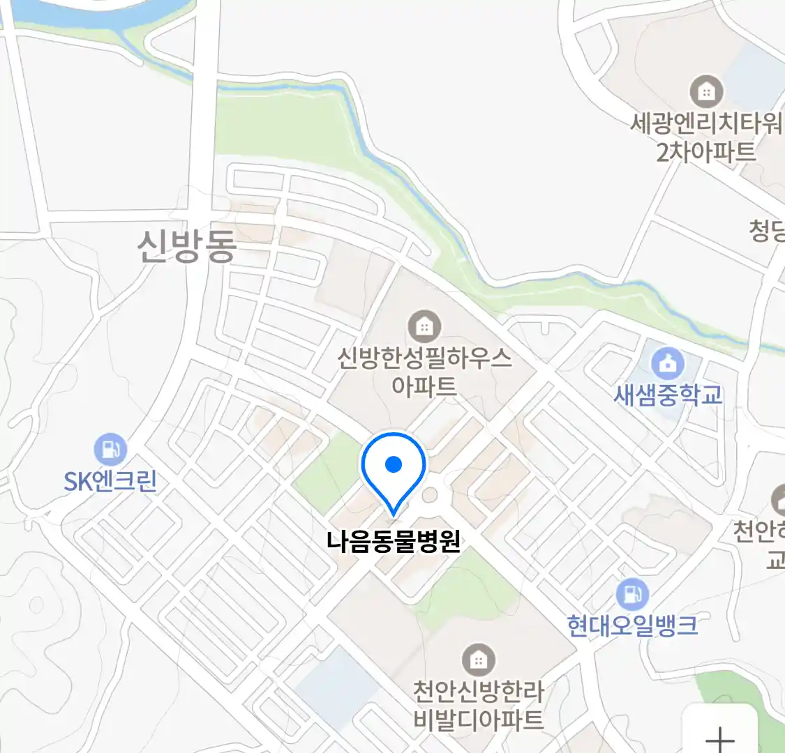 나음동물병원 위치