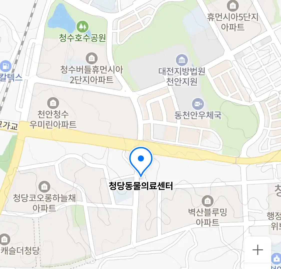 청당동물의료센터 위치