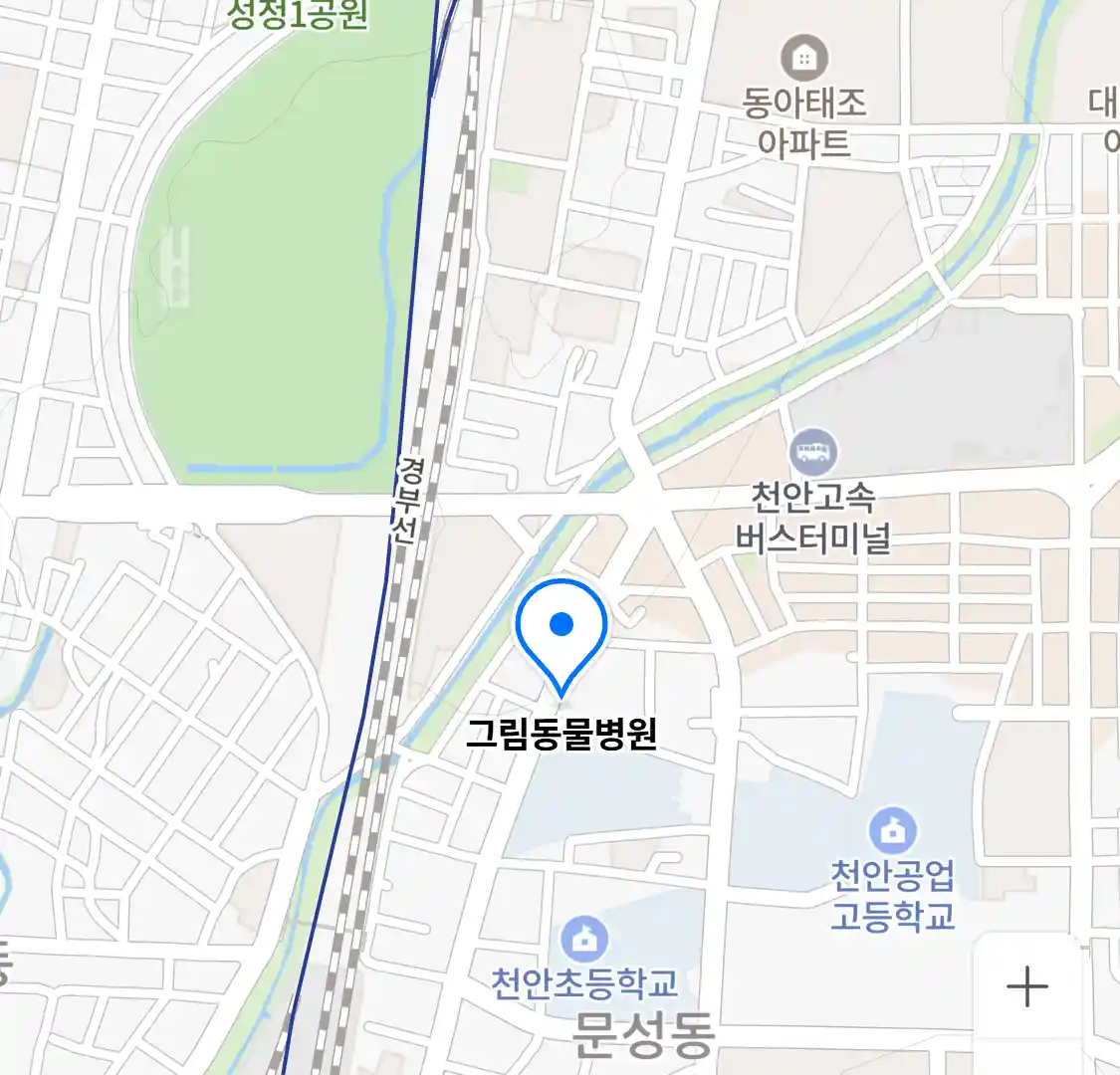 그림동물병원 위치