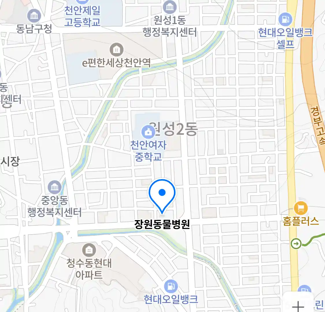 장원동물병원 위치