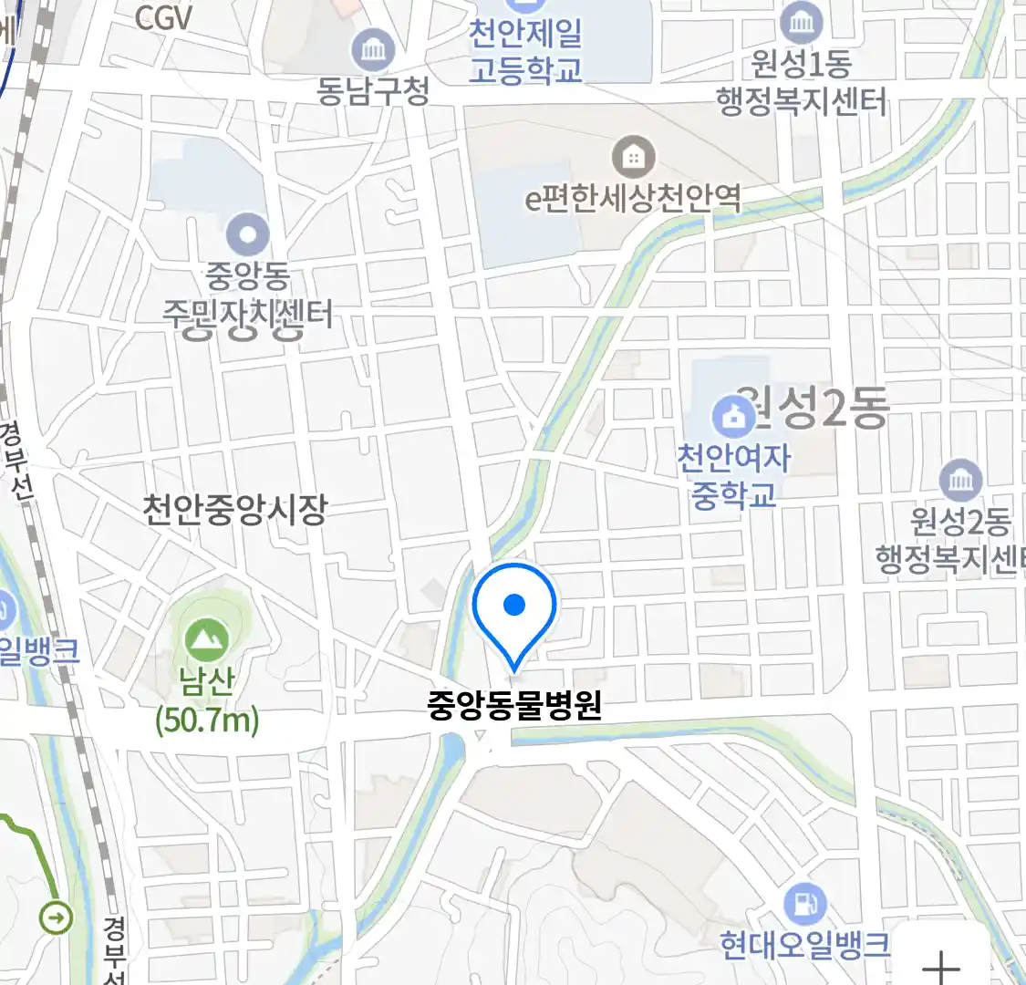 중앙동물병원 위치