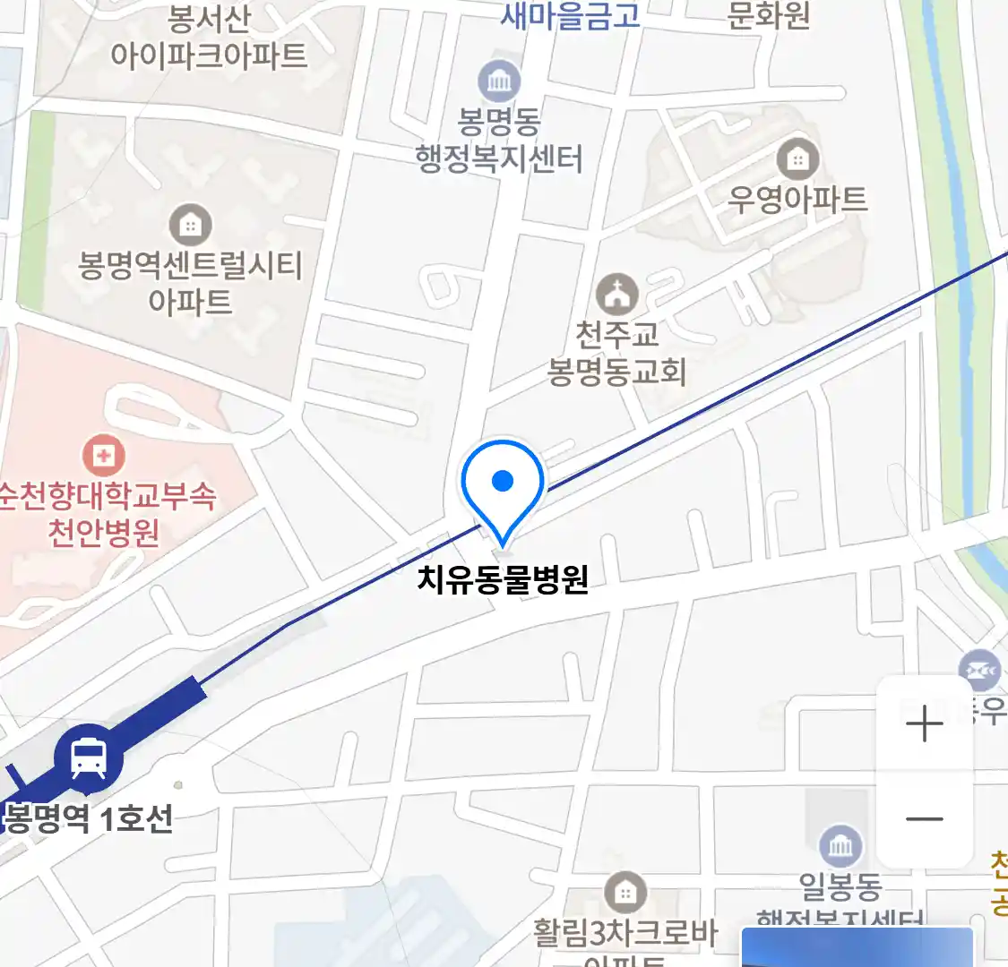 치유동물병원 위치