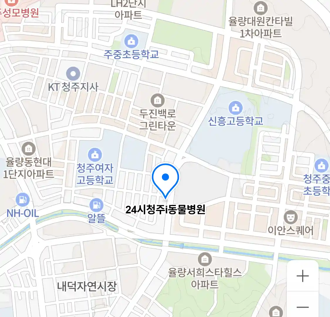 24시청주i동물병원 위치