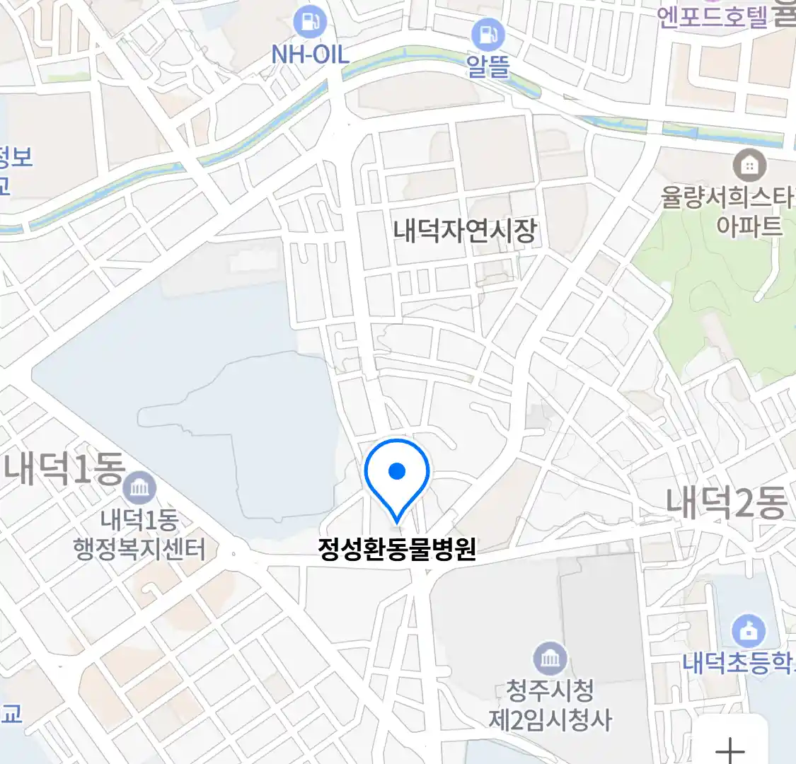 정성환동물병원 위치