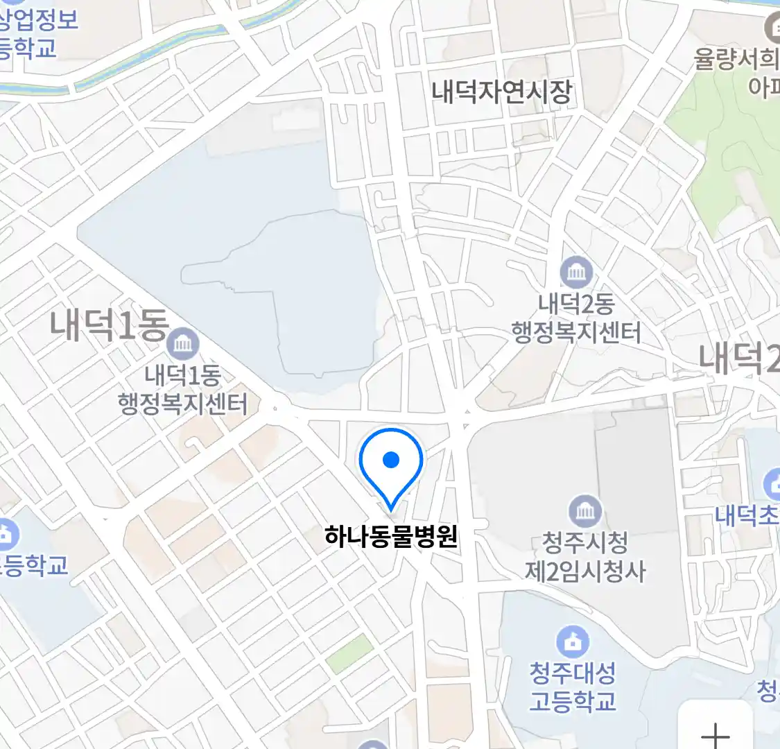 하나동물병원 위치
