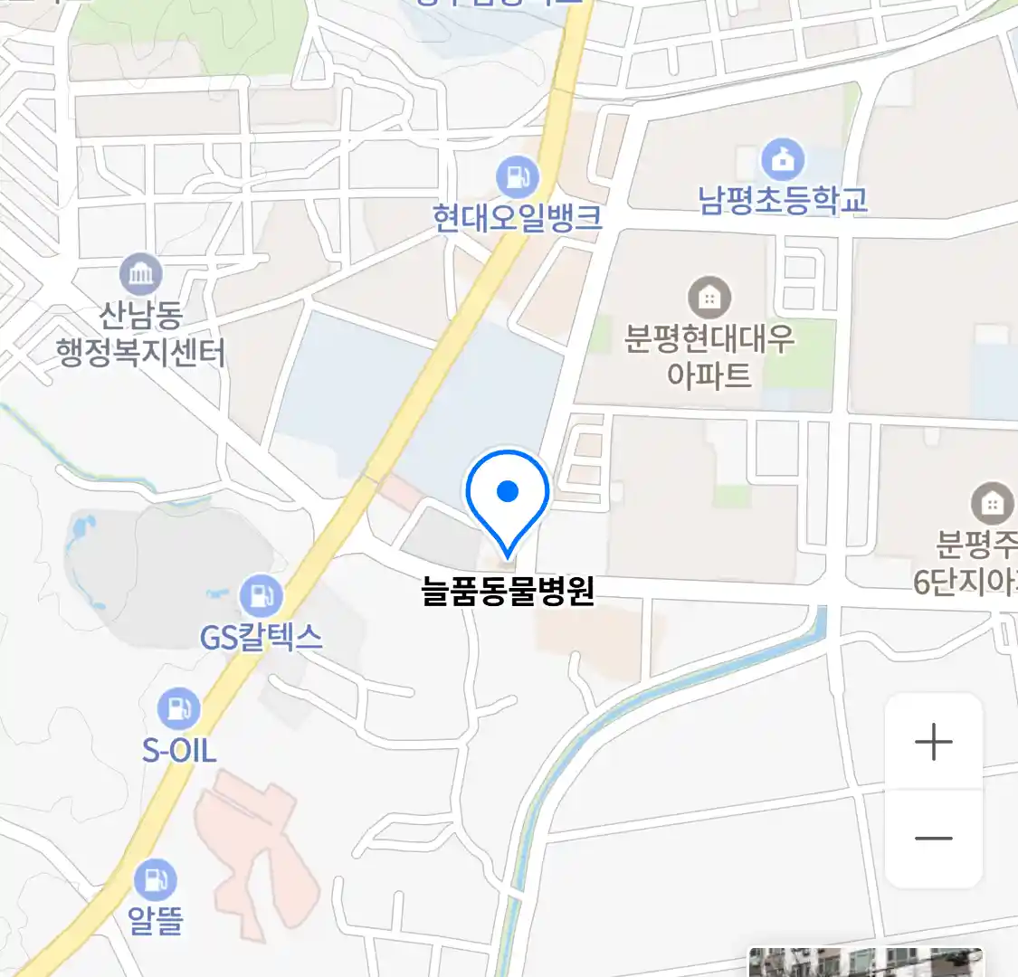 늘품동물병원 위치