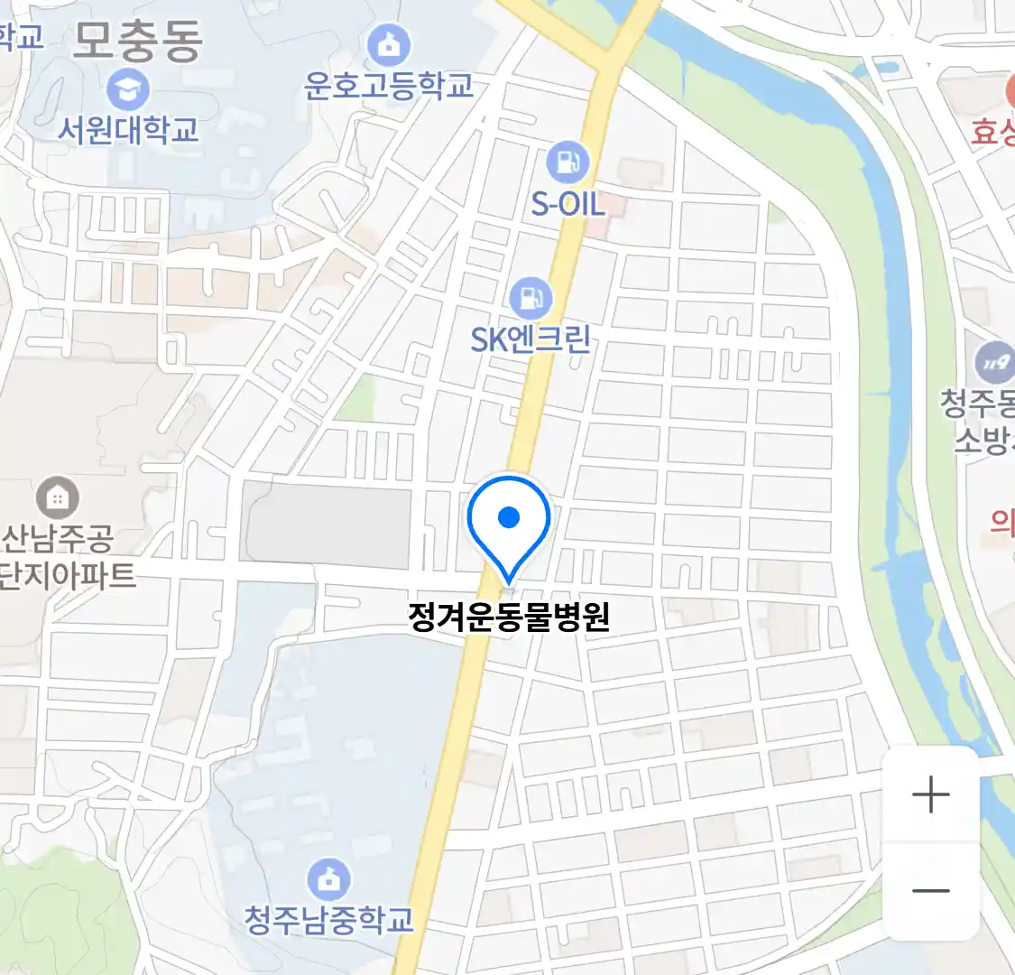 정겨운동물병원 위치