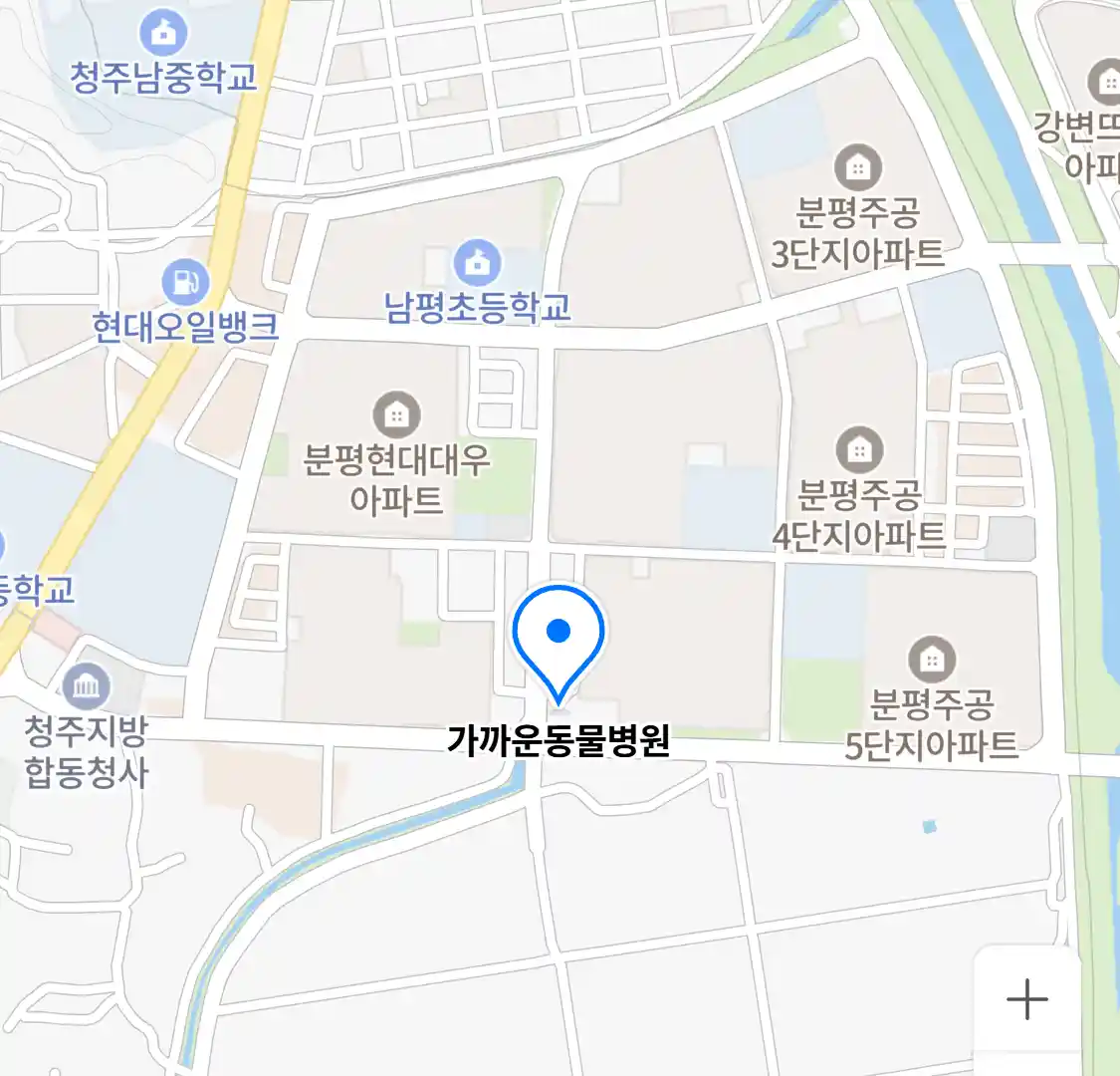 가까운동물병원 위치