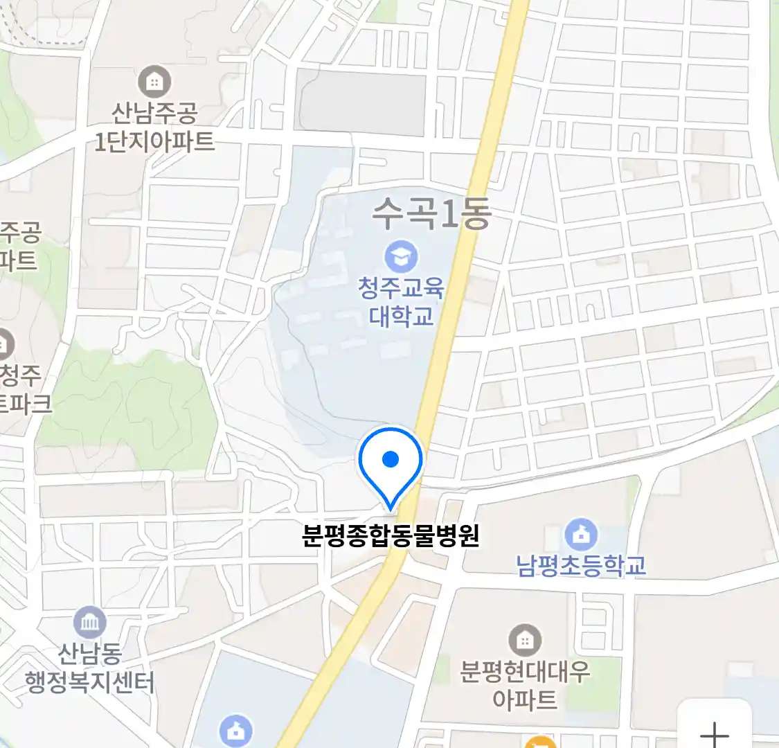 분평종합동물병원 위치