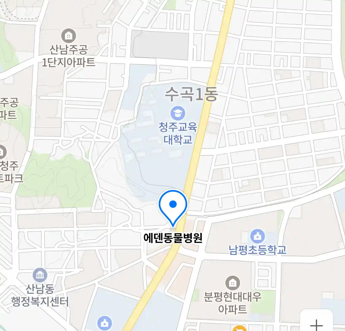 에덴동물병원 위치